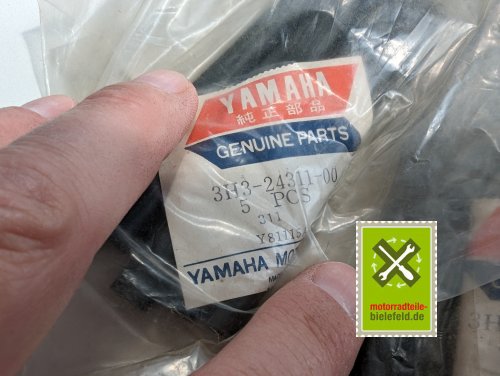 PXL_20240523_094825282